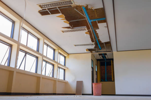 Best Sewage cleanup and water damage restoration  in Auburn, KS