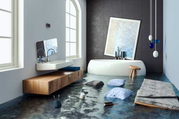 Best Professional water damage repair  in Auburn, KS