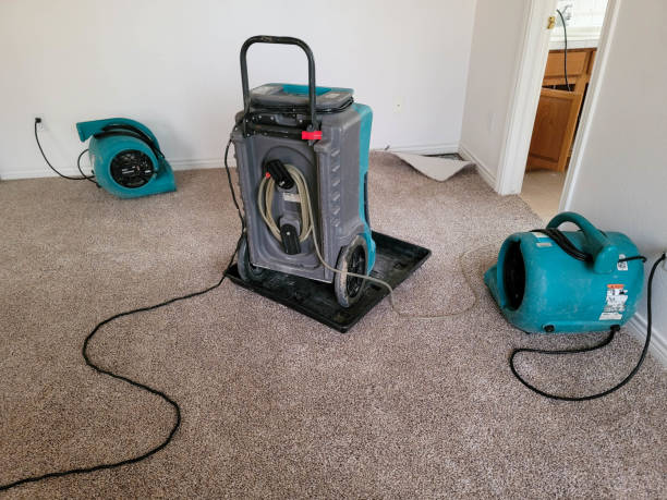 Best Sewage cleanup and water damage restoration  in Auburn, KS