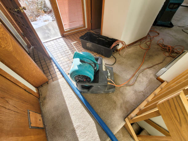 Trusted Auburn, KS Water damage restoration Experts