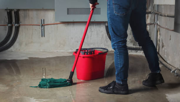 Best Water damage contractors near me  in Auburn, KS