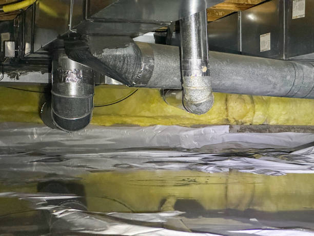 Best Carpet water damage restoration  in Auburn, KS