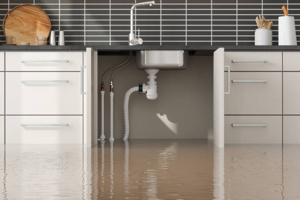 Best Water damage restoration services  in Auburn, KS