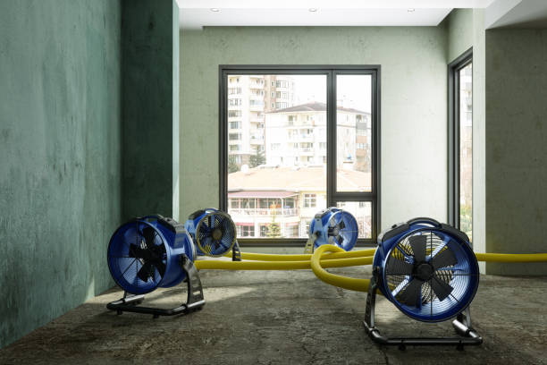 Best Commercial water damage restoration  in Auburn, KS